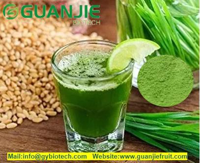 Wheat grass Powder Wheat grass Powder