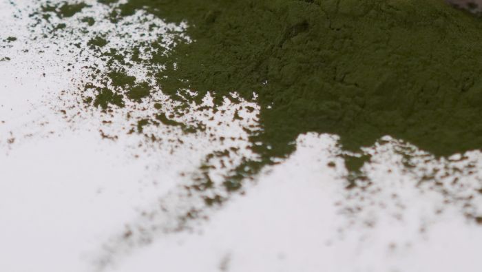 bulk chlorella powder bulk chlorella powder