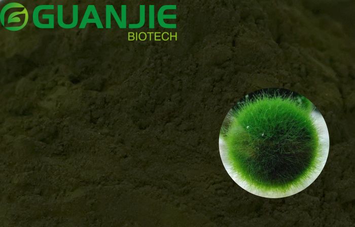 pure Chlorella Powder pure Chlorella Powder