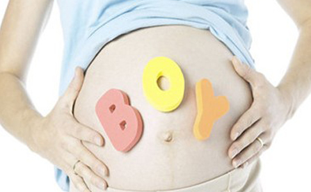 news-447-276 news-447-276