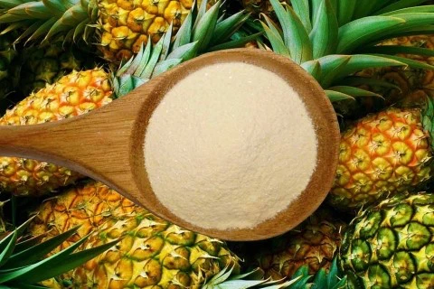 Pineapple Bulk Powder Pineapple Bulk Powder