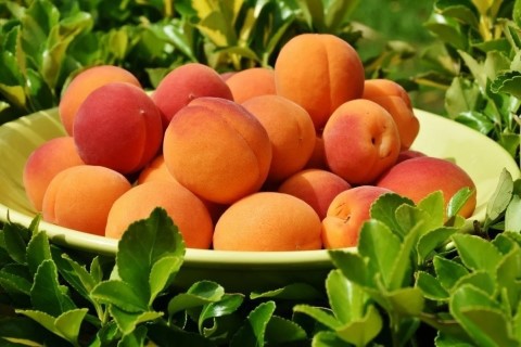 Apricot Powder Apricot Powder
